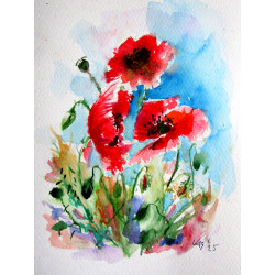 Red poppies II