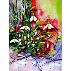 Snowdrops in the garden