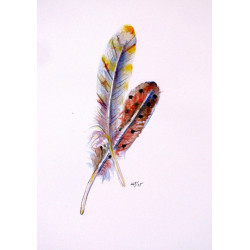 Feather