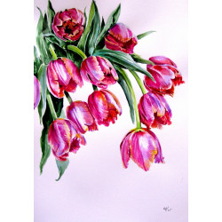 Bouquet of tulips