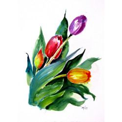 Tulips
