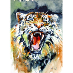 Mérges tigris