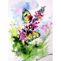 Beautiful butterfly II