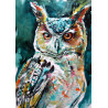 Owl portrait