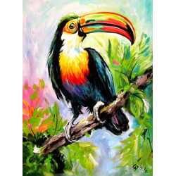 Toucan