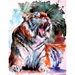 Resting tiger