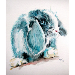Cute rabbit