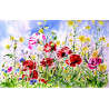 Poppies field