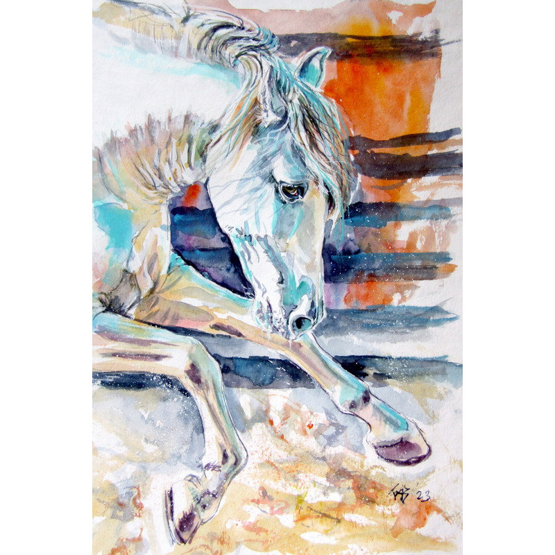 Andalusian horse II