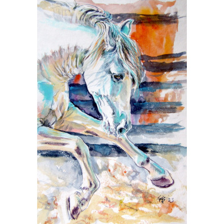 Andalusian horse II