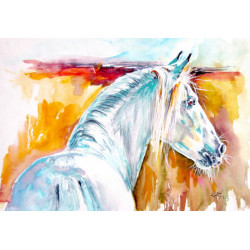 Andalusian horse III