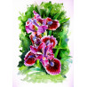 Iris II