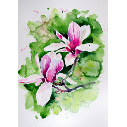 Beautiful magnolia