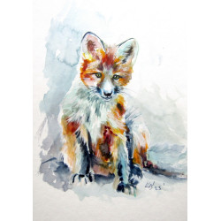 Red fox cub