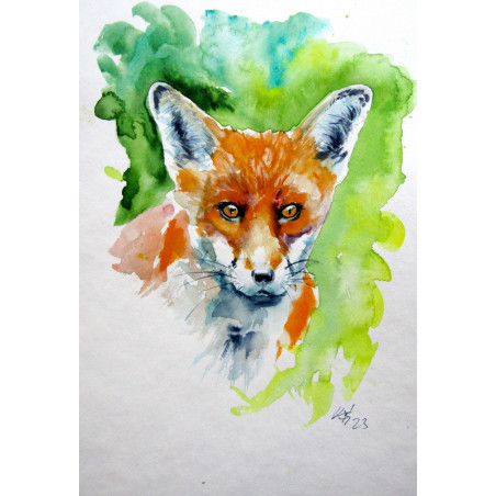 Red fox