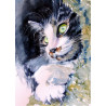 Resting cat