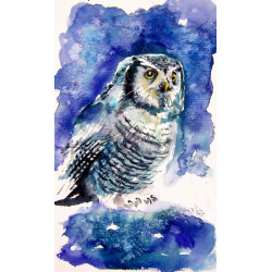 Owl in the forest