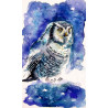 Owl in the forest