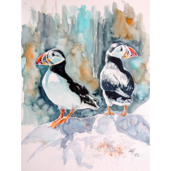Puffins