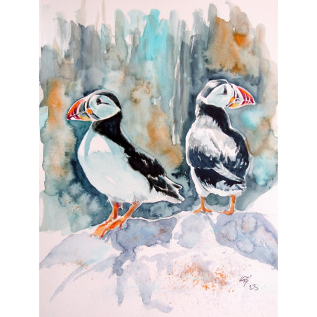 Puffins