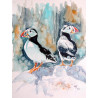 Puffins
