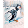Puffins